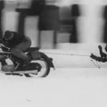 Motorsport Skiing